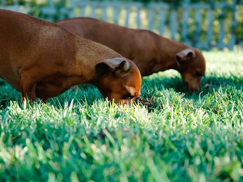 sudoku leaderboard screenshot 3