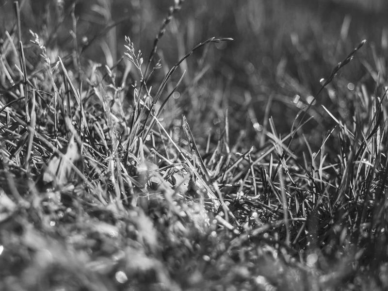 sudoku leaderboard screenshot 5