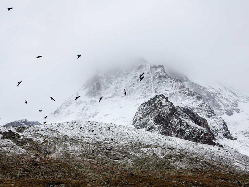 sudoku progress save screenshot 1